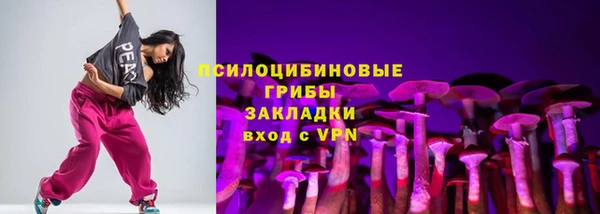 МДПВ Новокубанск