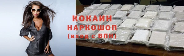 амф Новодвинск