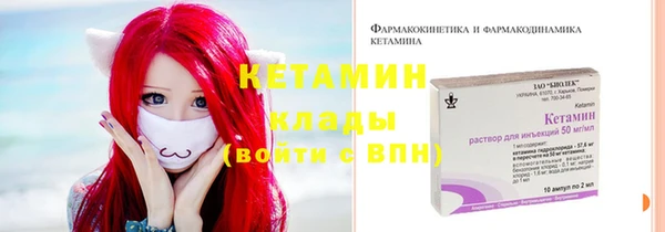 амф Новодвинск