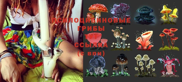 МДПВ Новокубанск