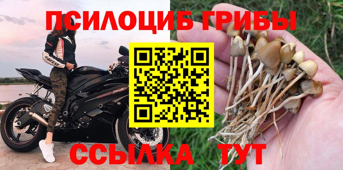 Чистополь  Галлюциногенные грибы Magic Shrooms  Вход с VPN 