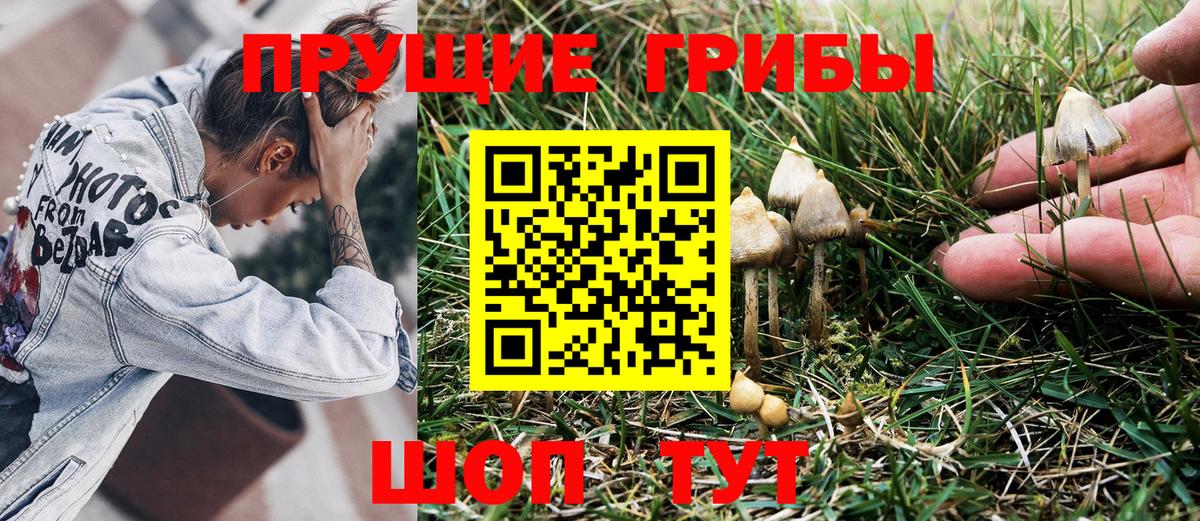 Галлюциногенные грибы Magic Shrooms Чистополь