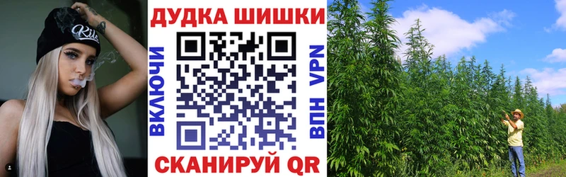 Каннабис ГИДРОПОН  Чистополь 